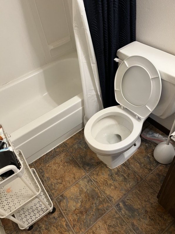 Clean Toilet